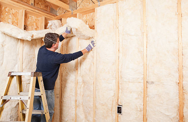 Best Basement Insulation  in Crugers, NY